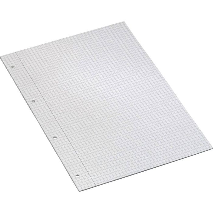 Arbeidsark, ruter 5 x 5 mm, A4, 4 hull, 80 g, 500 stk./ 1 pk.