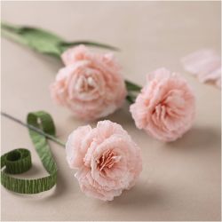 Kreppapir, ark 25x60 cm, Strekk-/krep: 180%, 105 g, soft rosa, 4 ark/ 1 pk.