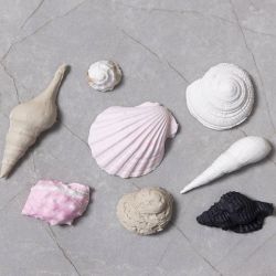 Silikonform, Konkylie og skjell, H: 1 cm, L: 1-2,8 cm, 1 stk.