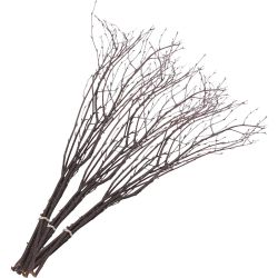 Fastelavnsris