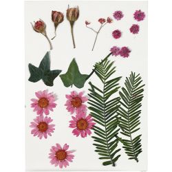 Tørkede blomster og blad