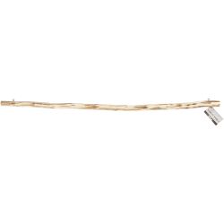 Pinne