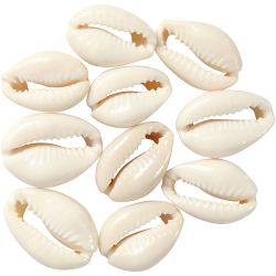 Skjell