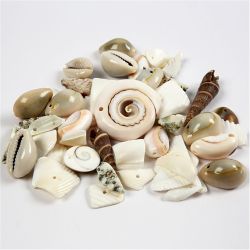 Strandskjell