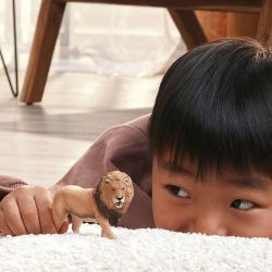 Schleich Ville dyr