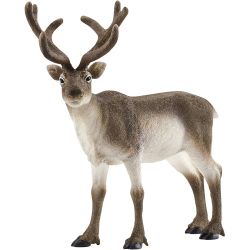 Schleich Nordisk dyreliv