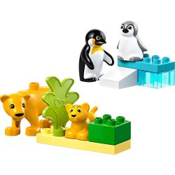 LEGO® DUPLO® Villdyrfamilier Pingviner og løver