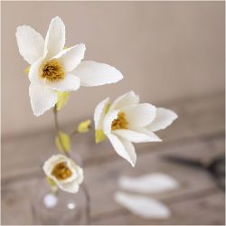 Mini DIY Kit Kreppapir, Magnoliagrein, Strekk-/krep: 180%, 1 pk.